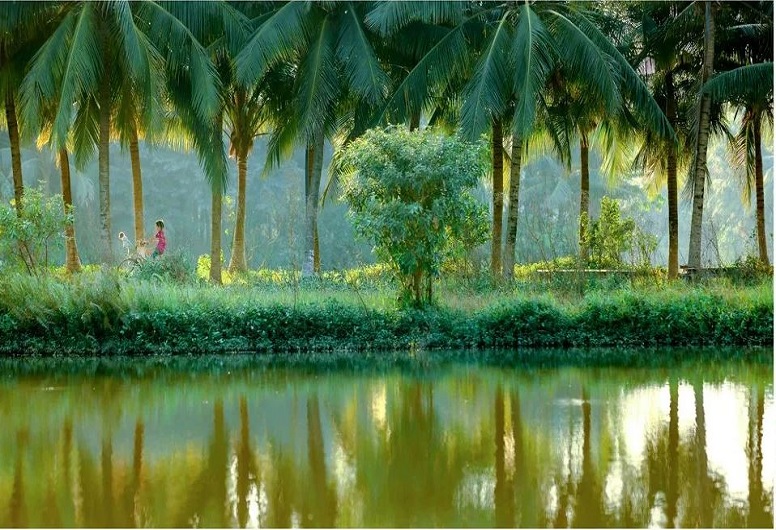 Eco Retreat Long An - Khám Phá Thiên Đường Nghỉ Dưỡng Gần Sài Gòn Eco Retreat Long An - Khám Phá Thiên Đường Nghỉ Dưỡng Gần Sài Gòn