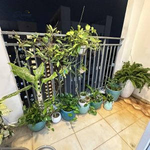 Richstar Tân Phú 2PN – 65m² – Vào ở ngay, chỉ 2,9 tỷ! 3 z6092217306366 4cbfa054c14c0a4c6dca83d8371151bb - Richstar Tân Phú