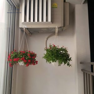 CẦN BÁN CĂN HỘ RICHSTAR TÂN PHÚ – 65M² – 2PN 2WC – GIÁ TỐT 3 TỶ 9 z6391455164001 5e669753b86ddd8781111130e6680205 - Richstar Tân Phú