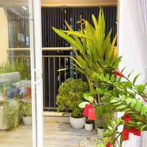 BÁN CĂN HỘ RICHSTAR - 2PN - GIÁ 3,150 TỶ 6 z6641825962625 26ce09640819537ebb158a801c36d3ef - Richstar Tân Phú