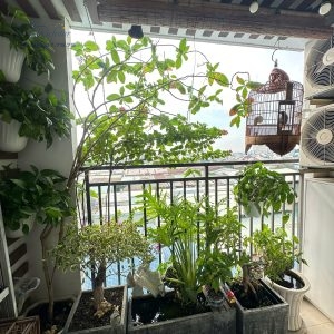 z7369152665706 7055da95ccf782ad5195179f5a78eda0 - Richstar Tân Phú