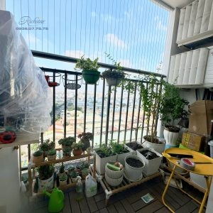 z7376161778993 6b2971fb733abfb9206f2a716a5f2587 - Richstar Tân Phú